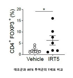 IRT5 투여군에서 대조군과 비교하면 면역조절 T세포 수가 많은 것으로 조사됐다.