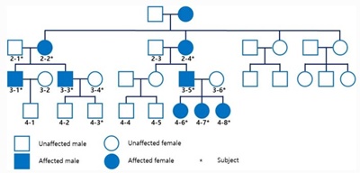 암색형성부전증 환자 가족의 가계도. 유전된 암색형성부전증은 4세대 이상의 가족에서 나타났다. 이 가족의 유전적 침투 패턴은 상염색체 우성과 X-연관 형질의 가능성을 보여주었다.