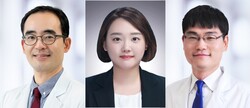 왼족부터 서울대병원 소화기내과 유수종 교수·박제연 진료교수, 영상의학과 이동호 교수